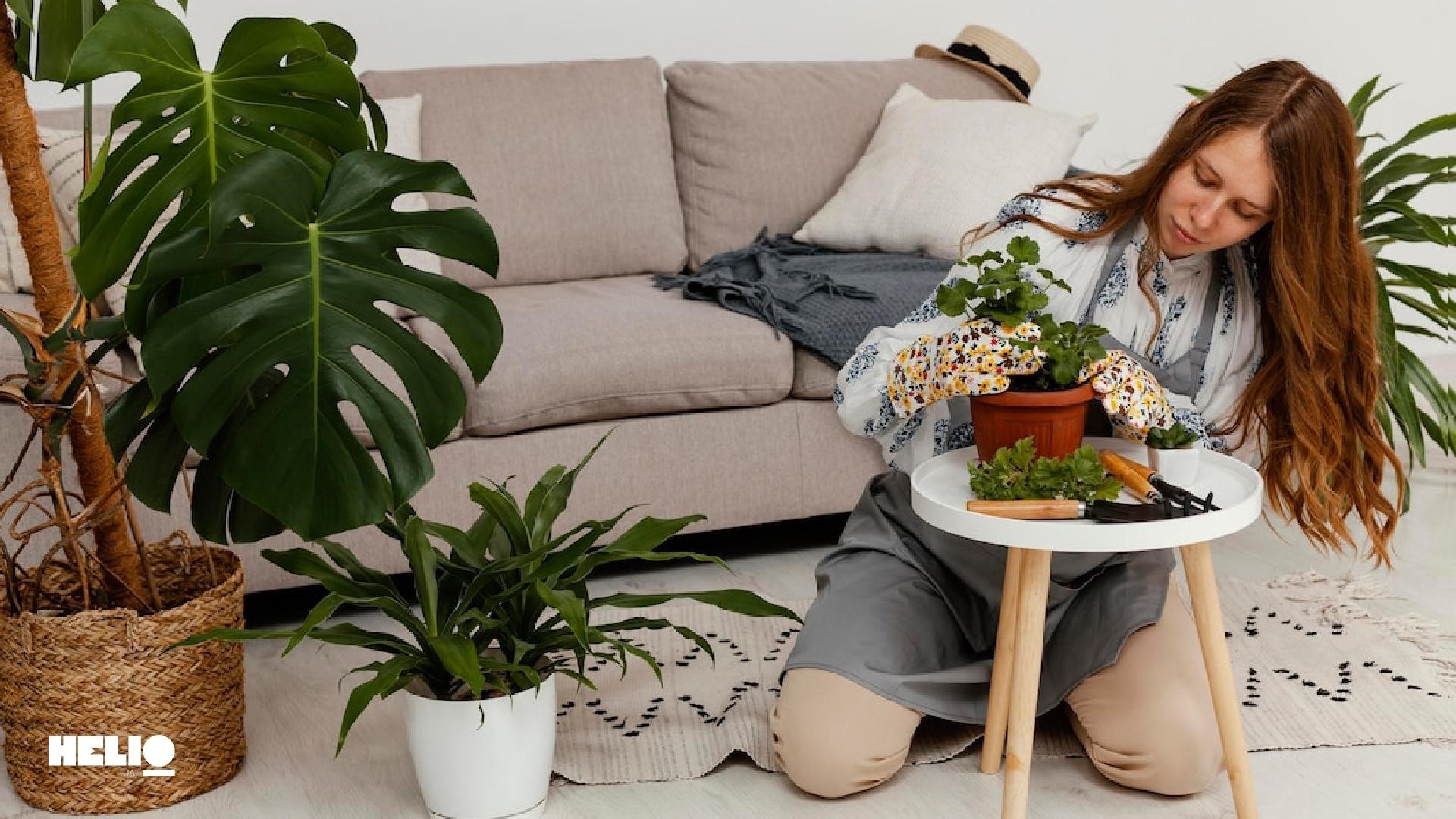 Eco-Friendly Living Room: Green Living Room Ideas and Trends