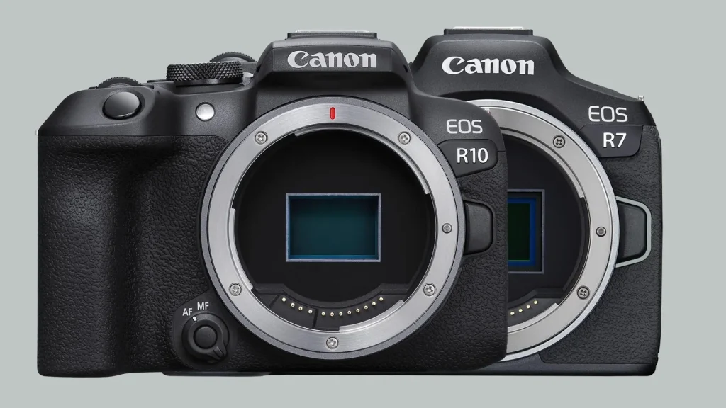Canon EOS R5 / R6 / R7 / R8 / RP cameras offer outstanding Eye AF performance.