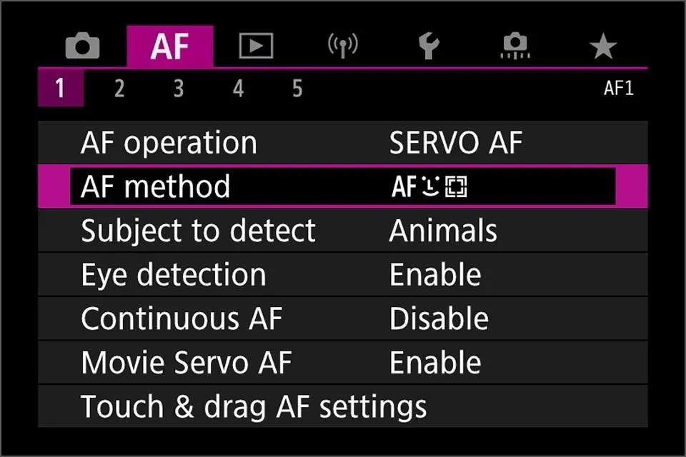 Modern cameras now include precise Eye AF modes, which are essential portrait camera settings.