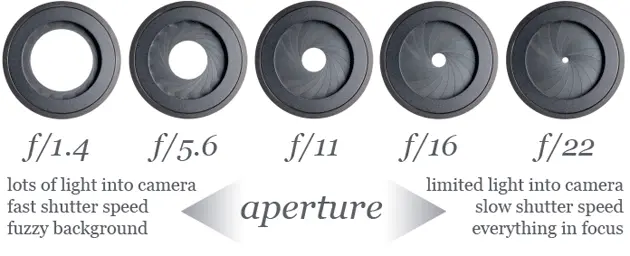 Photographer adjusting ISO and aperture for the perfect camera setting for real estate photography of a sunlit villa interior