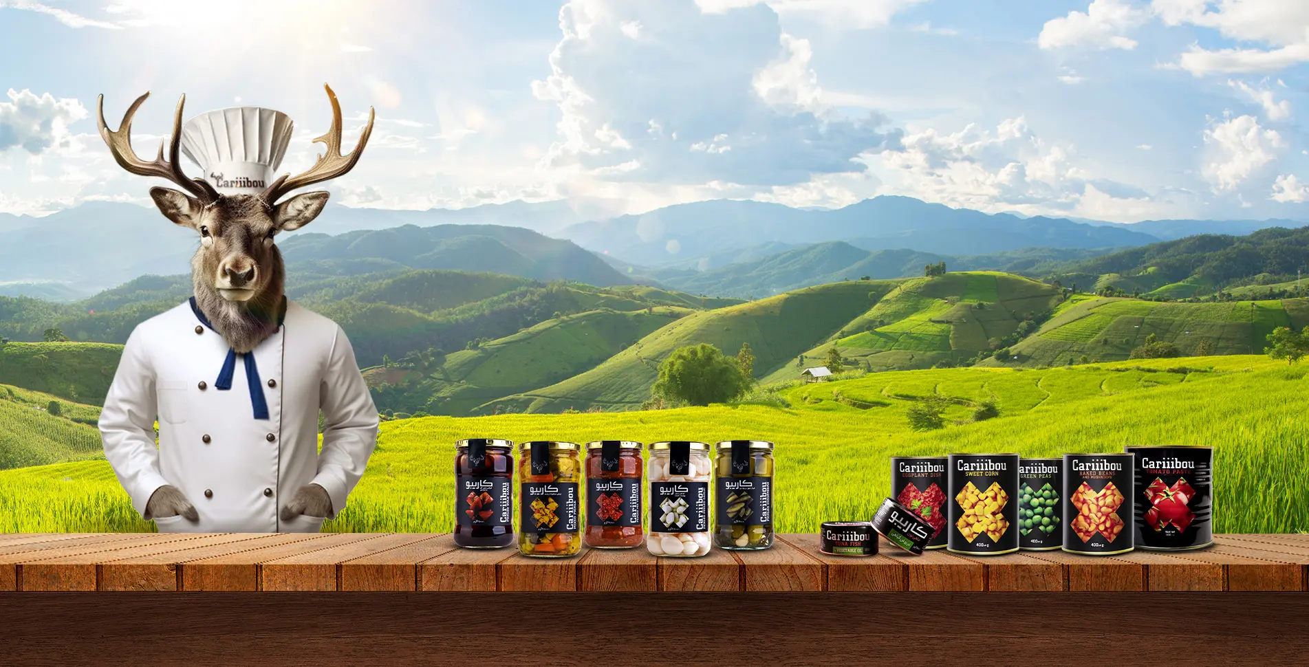 Content Marketing for the New Food Brand; Cariiibou